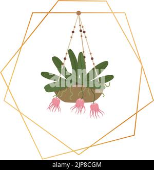 Plante suspendue sur cadre géométrique doré. Modèle de style scandinave. Élégante bordure dorée avec plante en fleurs. Élément naturel en pot avec fleur de fleur pour le motif de carte vectoriel isolé sur blanc Illustration de Vecteur