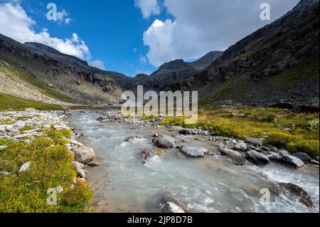 Torrent sauvage de la montagne Ambin dans le massif de la Vanoise dans les Alpes françaises en été Banque D'Images