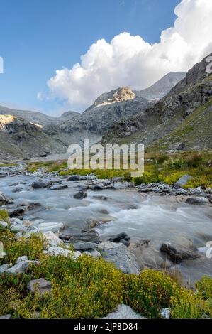 Torrent sauvage de la montagne Ambin dans le massif de la Vanoise dans les Alpes françaises en été Banque D'Images