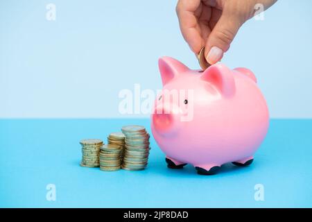 La personne met de l'argent dans une banque de porc rose sur un fond bleu.les mains des femmes mettent des pièces dans une boîte d'argent.Banque de Piggy avec des piles de pièces.le concept de Banque D'Images