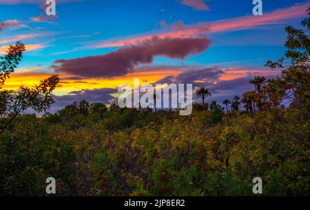 Coucher de soleil coloré sur le parc national des Everglades en Floride Banque D'Images