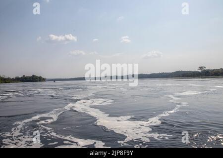 Le parc national de Murchison Falls est situé sur la rive du lac Albert, dans le nord-ouest de l'Ouganda. Il est connu pour les chutes Murchison, où le Victoria Nile River sur Banque D'Images