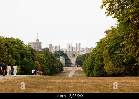 Windsor, Royaume-Uni. 15th août 2022. Les membres du public marchent entre les zones d'herbe blanchies au soleil le long de la longue promenade en face du château de Windsor. FIV Banque D'Images