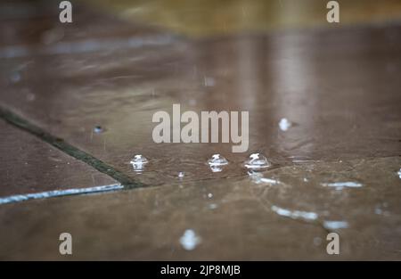 La pluie forme des bulles alors qu'elle commence à tomber pour mettre fin à un long temps sec à Billingshurst, West Sussex, Royaume-Uni. Le sud de l'Angleterre a connu un temps extrêmement long chaud et sec, laissant tout parché. Banque D'Images