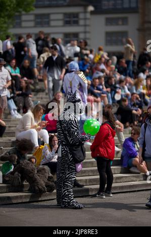 Photo verticale des personnes célébrant la journée du Japon à Düsseldorf, en Allemagne Banque D'Images