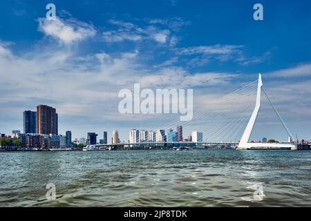 horizon, pont erasmus, neue maas, paysage urbain, paysages urbains, skylines, ponts erasmus Banque D'Images