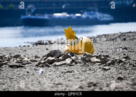 Düsseldorf, Allemagne. 16th août 2022. Un cargo passe devant une bouée de danger située sur un sol sec. Après des semaines de sécheresse, les niveaux d'eau du Rhin ont atteint des niveaux historiquement bas. Credit: Federico Gambarini/dpa/Alay Live News Banque D'Images