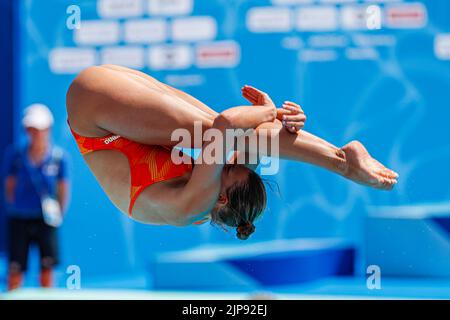 ROME, ITALIE - AOÛT 16: Daphne Wils des pays-Bas pendant le tremplin féminin 1m à l'Aquatics européen Roma 2022 au Stadio del Nuoto on 16 août 2022 à Rome, Italie (photo de Nikola Krstic/Orange Pictures) NOCNSF Banque D'Images