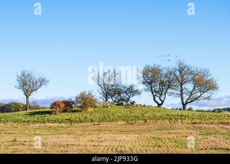 Tombe de passage sur une colline à un champ en automne Banque D'Images