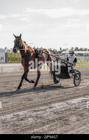 La course de harnais à Oulu, en Finlande. Sports équestres. Banque D'Images