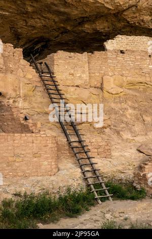 Une grande échelle s'appuie contre le mur d'habitation de Cliff dans le parc national de Mesa Verde Banque D'Images