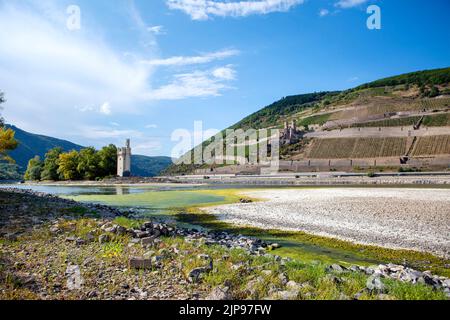 Le célèbre Maeuseturm à proximité de la confluence de la rivière Nahe et du Rhin à Bingen, Allemagne - roches visibles et des barres de sable en raison d'un niveau d'eau extrêmement bas après une longue période de sécheresse en août 2022. Banque D'Images