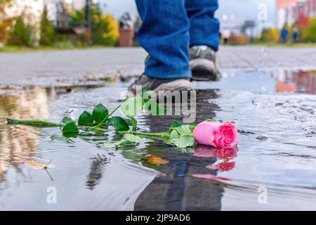 Une rose se trouve dans une flaque en automne sur fond de personnes qui passent Banque D'Images