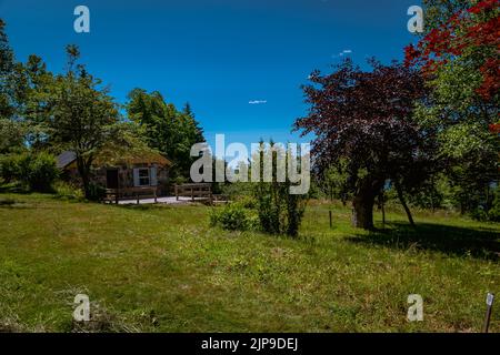 La maison d'arbres de l'île McNabs dans le port Halifax, nouvelle-écosse canada Banque D'Images