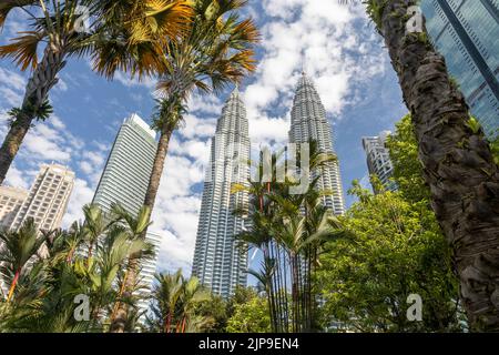 Kuala Lumpur, Malaisie - 13 août 2022 : vue sur les tours jumelles à travers les palmiers du parc KLCC. Oasis urbaine avec spectacle de fontaine. Banque D'Images