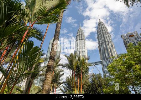 Kuala Lumpur, Malaisie - 13 août 2022 : vue sur les tours jumelles à travers les palmiers du parc KLCC. Oasis urbaine avec spectacle de fontaine. Banque D'Images