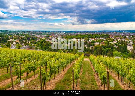 Belle vue panoramique de Wiesbaden, capitale de l'État de Hesse, en Allemagne, vue du vignoble Wiesbadener Neroberg sur la pente sud du Neroberg... Banque D'Images