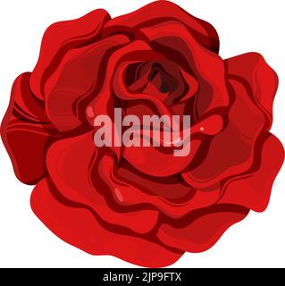 Rose jardin. Fleur d'été rouge. Élément décoratif Illustration de Vecteur