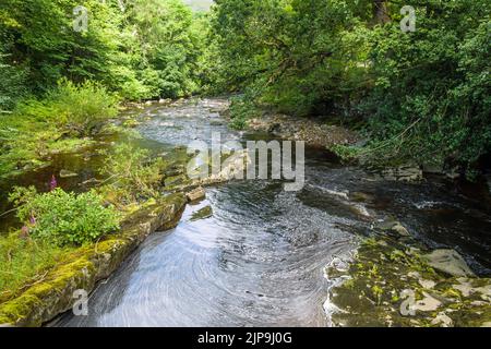 La rivière Clough longeant Farfield Mill juste à l'extérieur de Sedbergh sur le chemin Garsdale Cumbria Banque D'Images