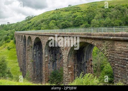 Le viaduc en pierre de Smardale dans la réserve naturelle. Le viaduc n'est plus utilisé mais peut être traversé en toute sécurité avec des vues époustouflantes dans les deux directions Banque D'Images