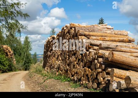 Grande pile de bois de pin de bois empilé près de la route de terre campagne contre le ciel bleu et la forêt. Scierie industrie de coupe de bois. Illégal Banque D'Images