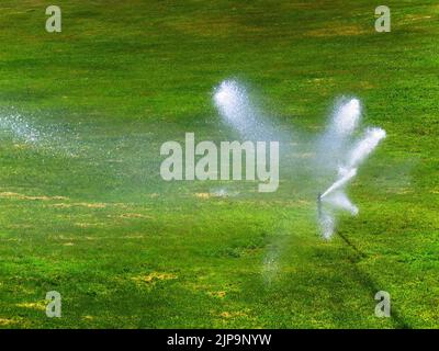 Arroser l'herbe ou la pelouse avec des pulvérisations de gouttes d'eau Banque D'Images