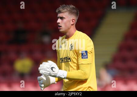 Tom Palmer, gardien des Harriers de Kidderminster, lors du match de la Ligue nationale de Vanarama au stade Aggborough, Kidderminster. Date de la photo: Samedi 13 août 2022. Banque D'Images