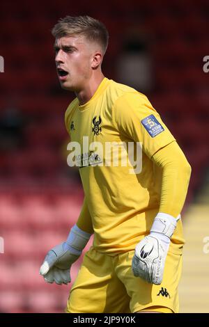 Tom Palmer, gardien des Harriers de Kidderminster, lors du match de la Ligue nationale de Vanarama au stade Aggborough, Kidderminster. Date de la photo: Samedi 13 août 2022. Banque D'Images