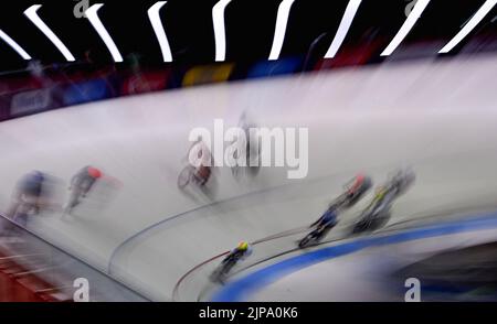 L'illustration montre la finale féminine de Madison (équipe), aux Championnats d'Europe de cyclisme sur piste Munich 2022, à Munich, en Allemagne, le mardi 16 août 2022. La deuxième édition des Championnats d'Europe du sport se déroule du 11 au 22 août et compte neuf sports. BELGA PHOTO ERIC LALMAND Banque D'Images