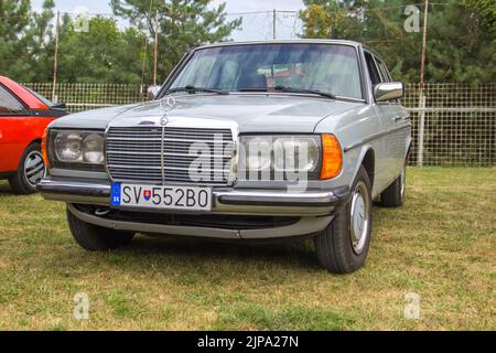 Mercedes 240d, W123, ancienne voiture restaurée à la rencontre de voitures classiques en Slovaquie Banque D'Images