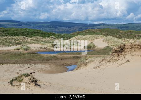Dunes côtières et dunes inondées, Kenfig NNR, Glamorgan, pays de Galles, Royaume-Uni, Mai. Banque D'Images