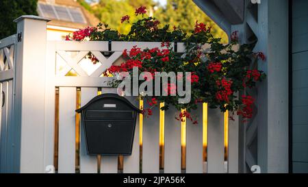 Une clôture en bois blanc avec des fleurs de géranium s'est épanouie pendant la journée Banque D'Images