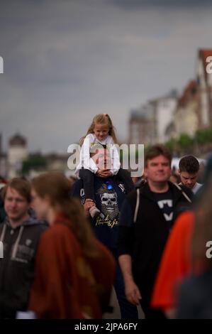 Photo verticale des personnes célébrant la journée du Japon à Düsseldorf, en Allemagne Banque D'Images