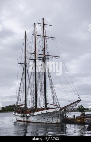 Une photo verticale d'un parc à bateaux se reflète dans l'eau du lac Ontario près de Sugar Beach, à Toronto Banque D'Images