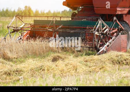 le gros plan de la moissonneuse-batteuse traverse lentement le champ et récolte le blé d'hiver. Culture de céréales dans la ferme. Récolte du grain. Nourriture Banque D'Images