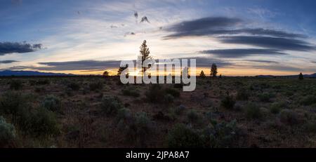 Vue panoramique sur la terre avec des buissons et des arbres au Sunet le soir nuageux. Banque D'Images