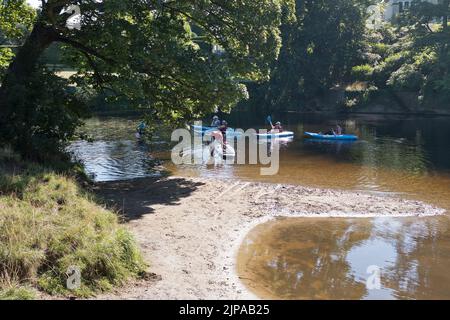 dh River Wharfe WETHERBY WEST YORKSHIRE Apprenez à Paddle Paddleboards kayaks canoë-kayak embarquement angleterre royaume-uni Banque D'Images