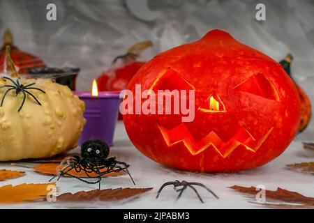 Concept Halloween. Citrouilles d'Halloween gros plan sur un fond de mur gris avec des fantômes, des chauves-souris, des araignées, des bougies, des citrouilles. Mise au point sélective. Banque D'Images
