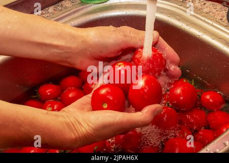 Les mains de la femme lavez les tomates et retirez les tiges des légumes. Banque D'Images