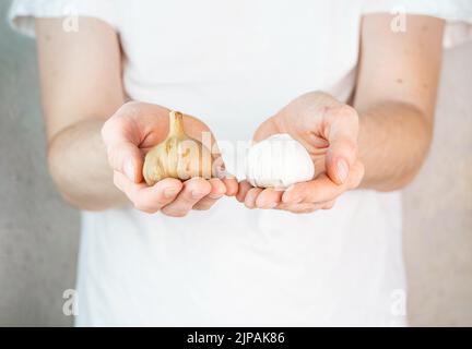 Ail et ail fermenté dans les mains de l'homme. Un homme dans un t-shirt blanc sur fond gris tient l'ail et les bulbes d'ail noir dans ses mains. Fermenté Banque D'Images