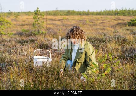 Jeune femme dans la tranchée à la mode cueillant des baies sur les marais d'automne tenant le panier blanc avec des canneberges Banque D'Images