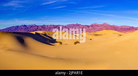Dunes de sable de Mesquite, parc national de la Vallée de la mort, Californie, Amérique du Nord, États-Unis Banque D'Images