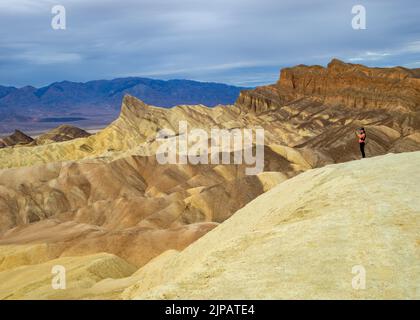 Randonneur admirant les merveilles naturelles des mauvaises terres colorées, Zabriskie point, parc national de la Vallée de la mort, Californie, Amérique du Nord, États-Unis Banque D'Images