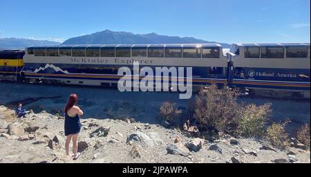 Beluga point, Alaska, États-Unis. 27th juillet 2022. Un train touristique, incluant des passagers de croisière Holland America, passe à Beluga point, au sud d'Anchorage, en Alaska, sur l'autoroute entre Anchorage et Seward, mercredi 27 juillet 2022. (Image de crédit : © Mark Hertzberg/ZUMA Press Wire) Banque D'Images