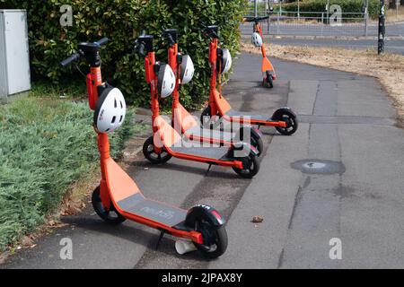 Slough, Royaume-Uni. 16th août 2022. Le programme de location d'essai de trottinettes à Slough, géré par la société Neurone Mobility, a été prolongé de deux ans. Les trottinettes orange sont populaires, cependant, les e-trottinettes en général ont été critiquées comme certains utilisateurs de vitesse sur les trottoirs et les routes avec eux causant des accidents. On a également signalé que certains utilisateurs étaient sous l'influence de l'alcool lorsqu'ils les consomment, en particulier la nuit. Crédit : Maureen McLean/Alay Live News Banque D'Images