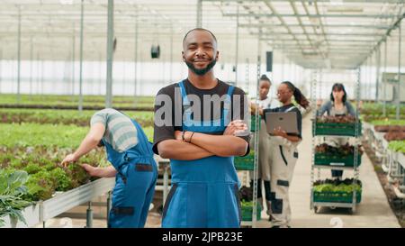 Homme afro-américain souriant posant avec les armes croisées tandis que les ouvriers agricoles utilisant un ordinateur portable gèrent les livraisons vers le magasin local. Portrait d'un agriculteur debout dans une serre moderne tandis que les cueilleurs remplissent des caisses. Banque D'Images