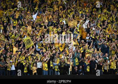 BODO, NORVÈGE - AOÛT 16 : fans de DBO/Glimt pendant la Ligue des champions de l'UEFA qualifiant le match de première jambe entre FK Bodo/Glimt et GNK Dinamo Zagreb sur 16 août 2022 à Bodo, Norvège. Photo: Marko Lukunic/PIXSELL Banque D'Images