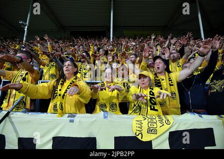 BODO, NORVÈGE - AOÛT 16 : fans de DBO/Glimt pendant la Ligue des champions de l'UEFA qualifiant le match de première jambe entre FK Bodo/Glimt et GNK Dinamo Zagreb sur 16 août 2022 à Bodo, Norvège. Photo: Marko Lukunic/PIXSELL Banque D'Images