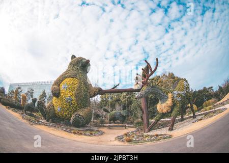 Parc aux fleurs de Hamamatsu｜Japon Banque D'Images