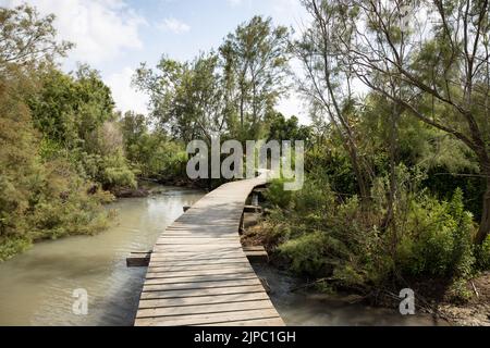 Une passerelle en bois traversant l'eau, réserve naturelle d'Ein Afek, Israël Banque D'Images